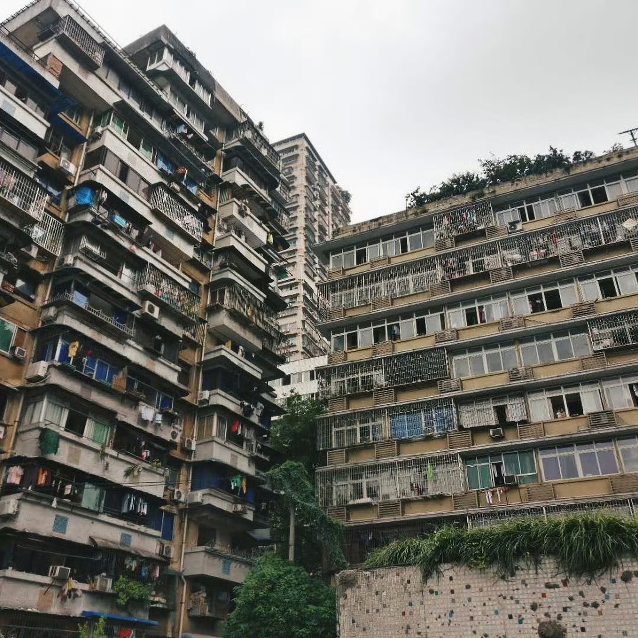 重庆 3