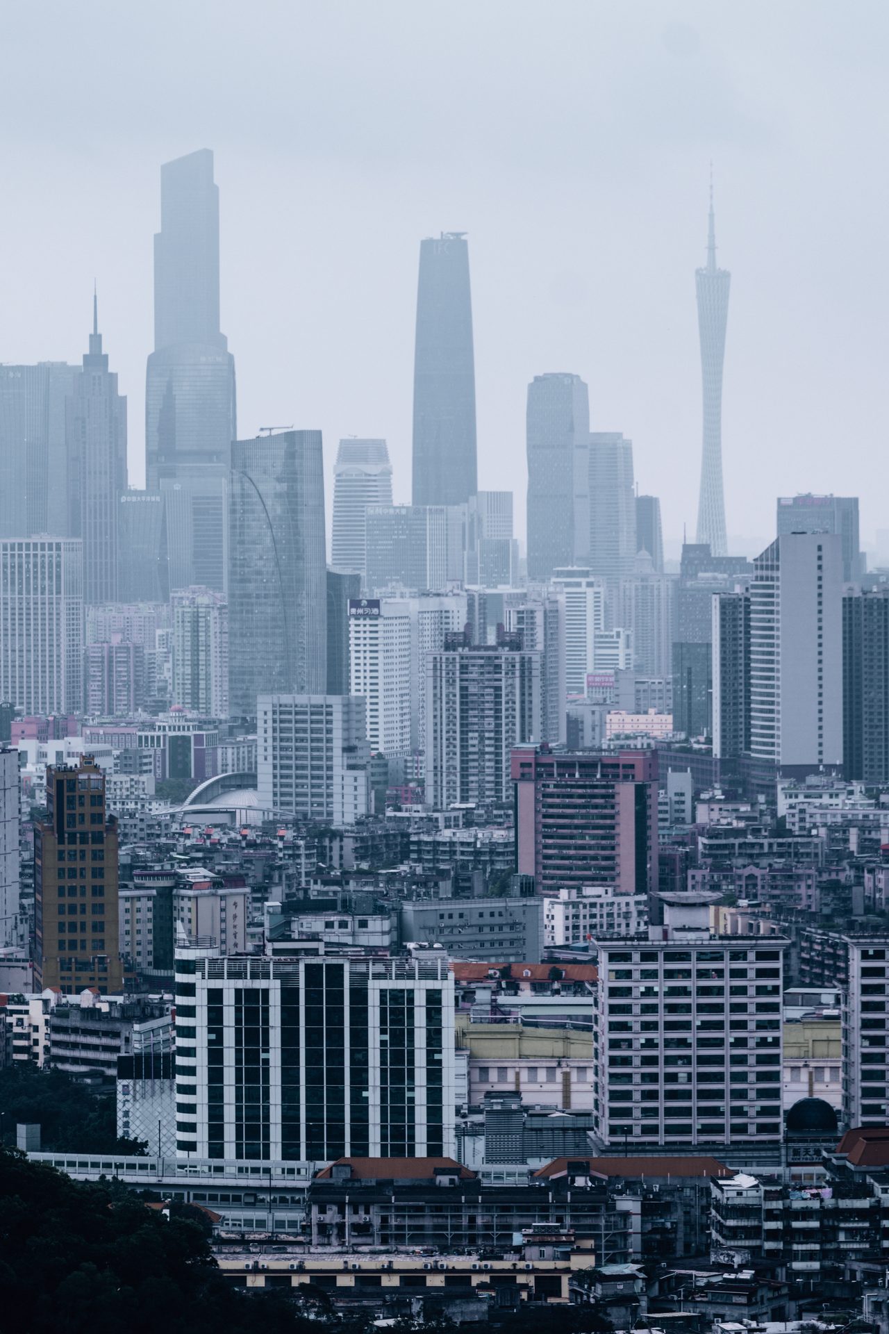 广州 19