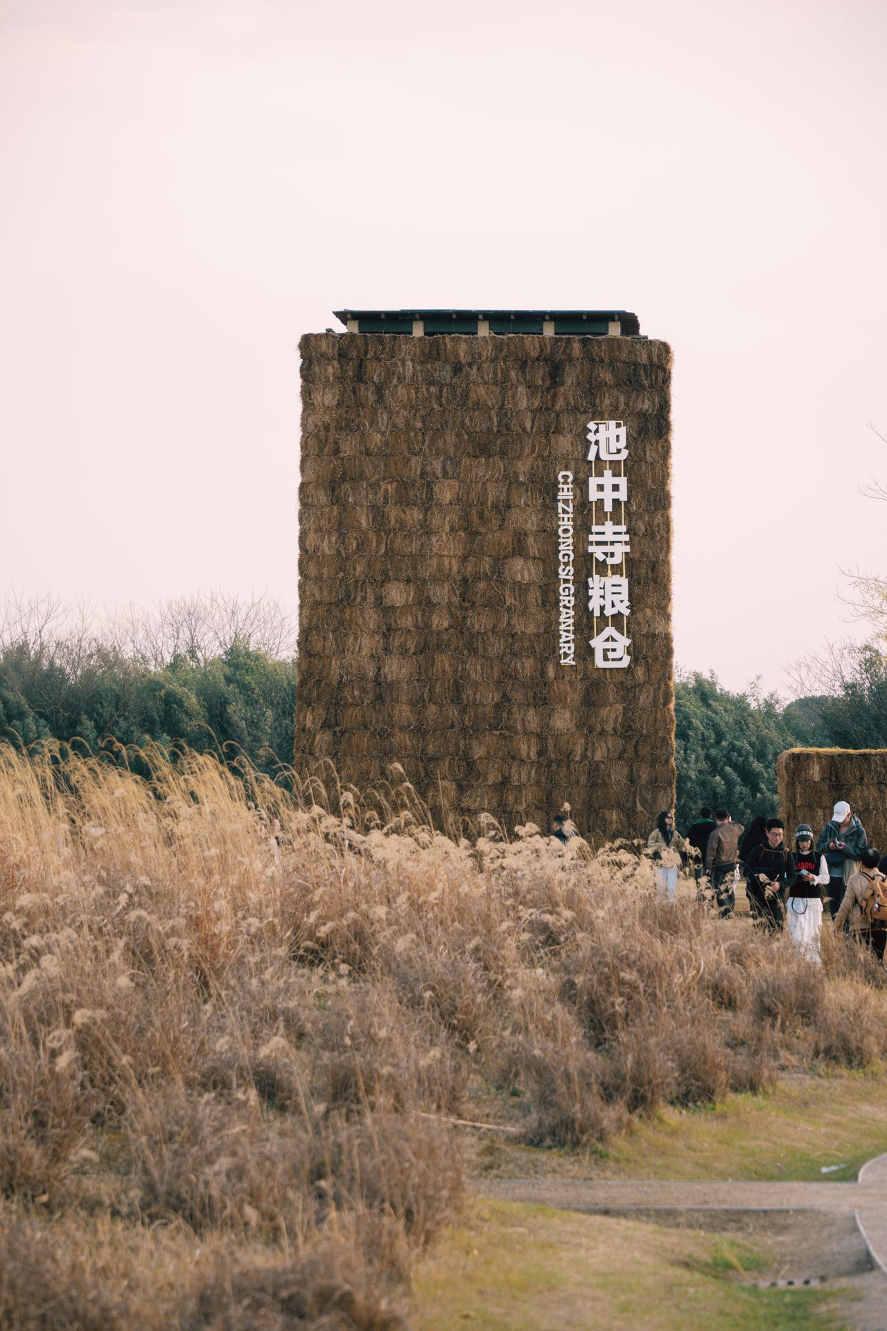 杭州 31