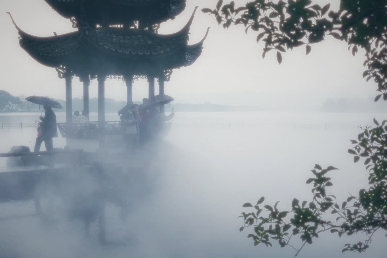 往返5小时只为这株梅