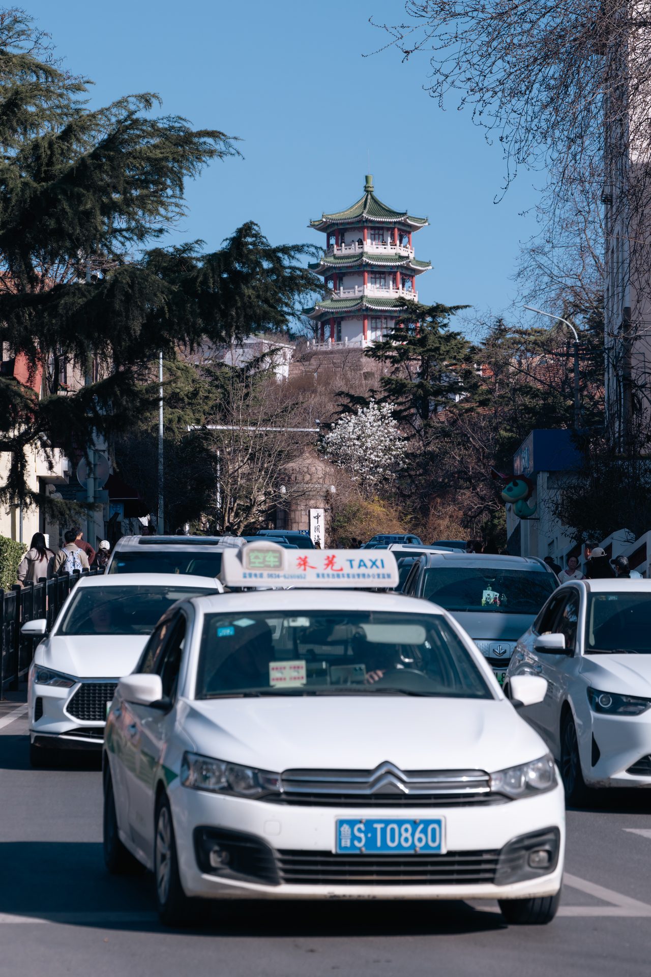 青岛 10
