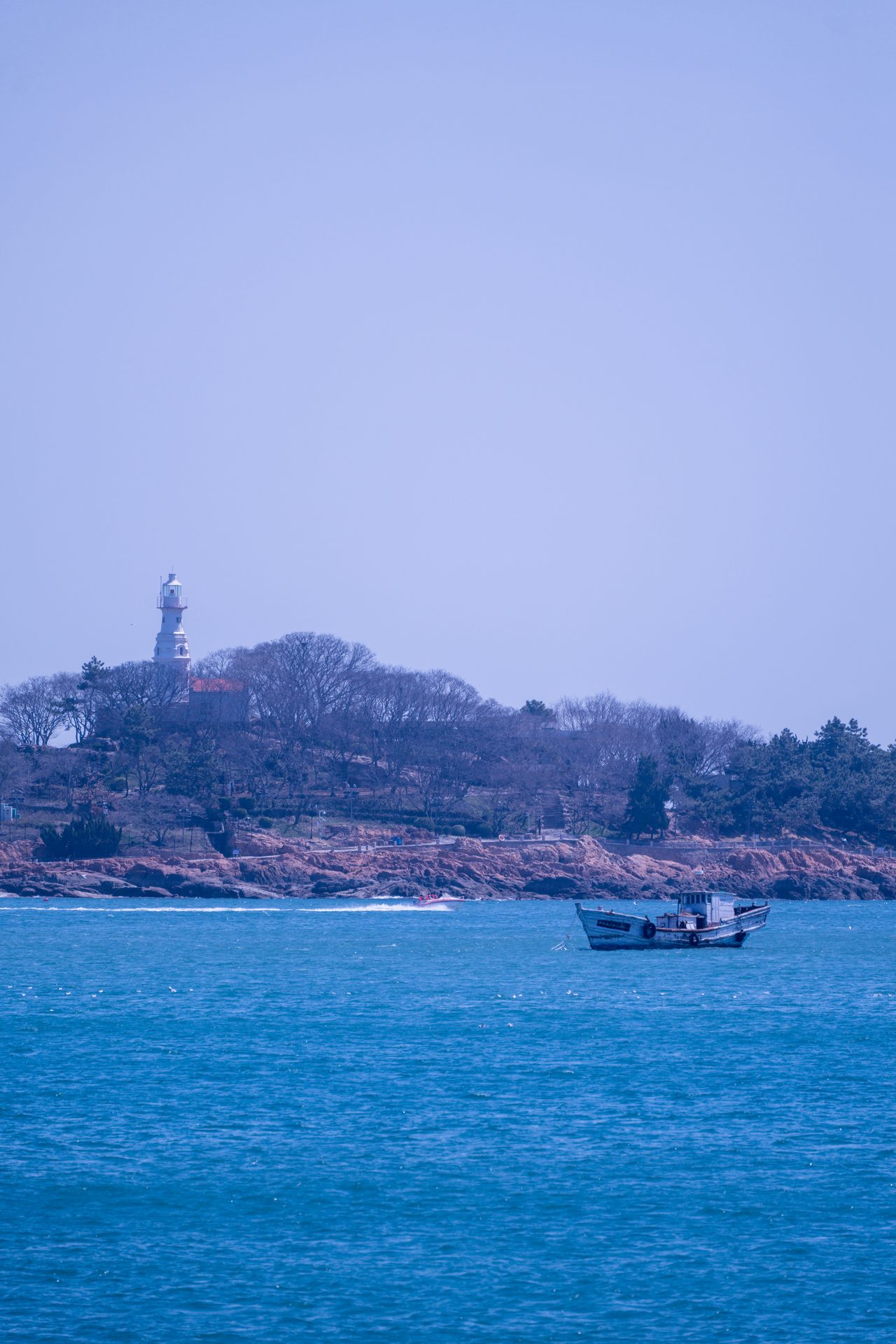 青岛 28