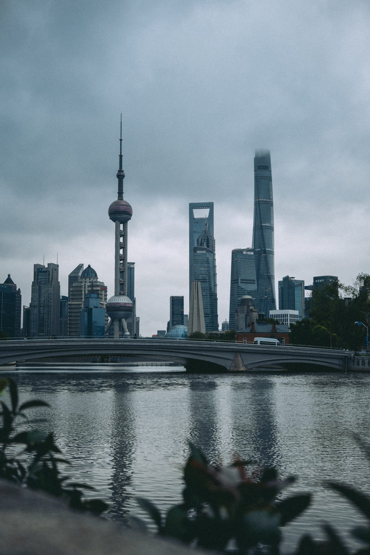 上海 19