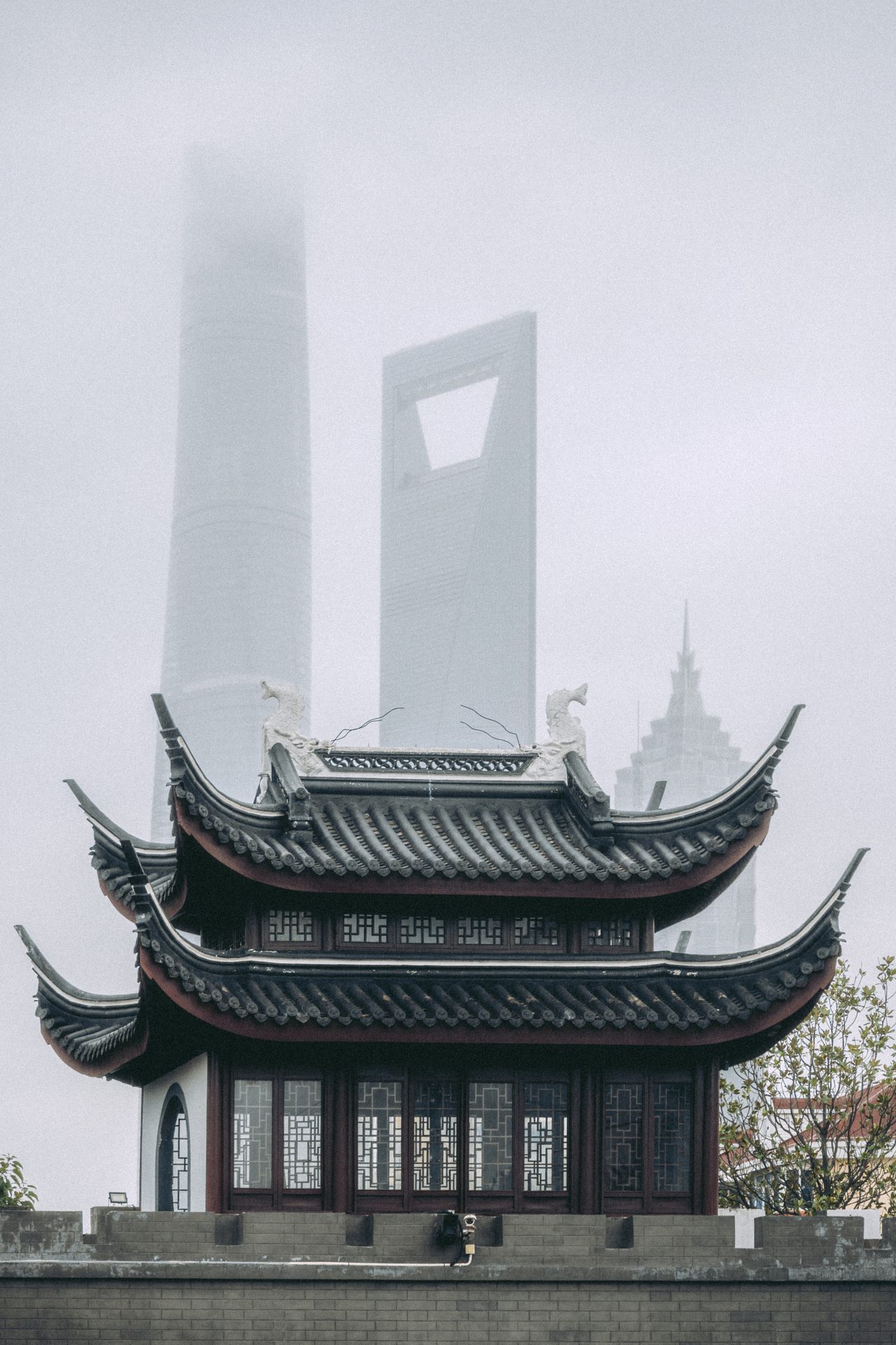 上海 49