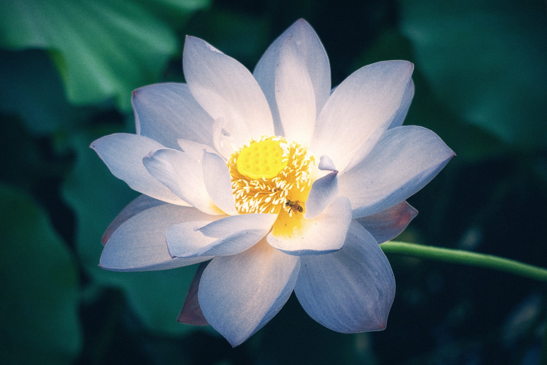 绍兴 36