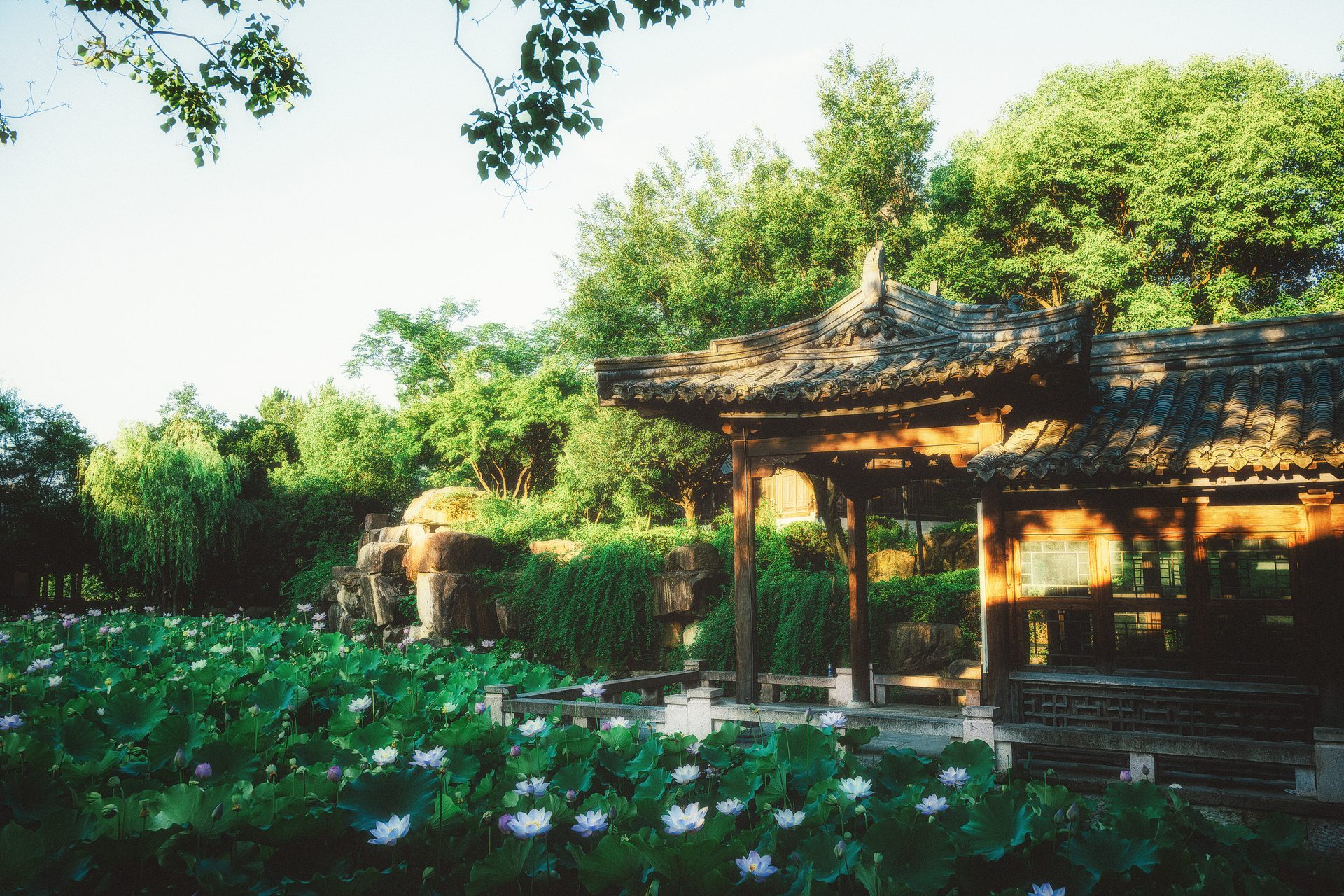 绍兴 38