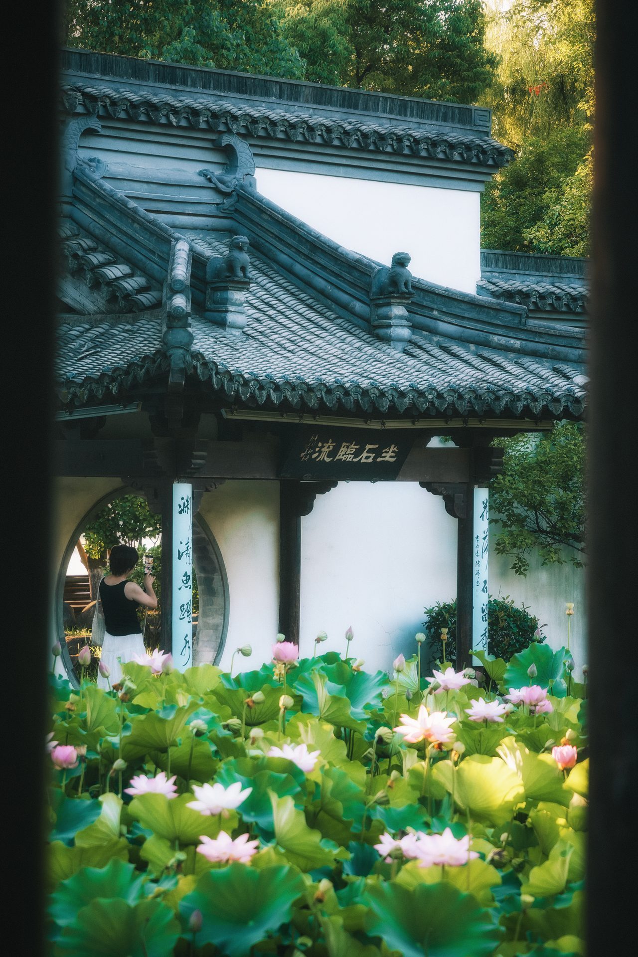 绍兴 52