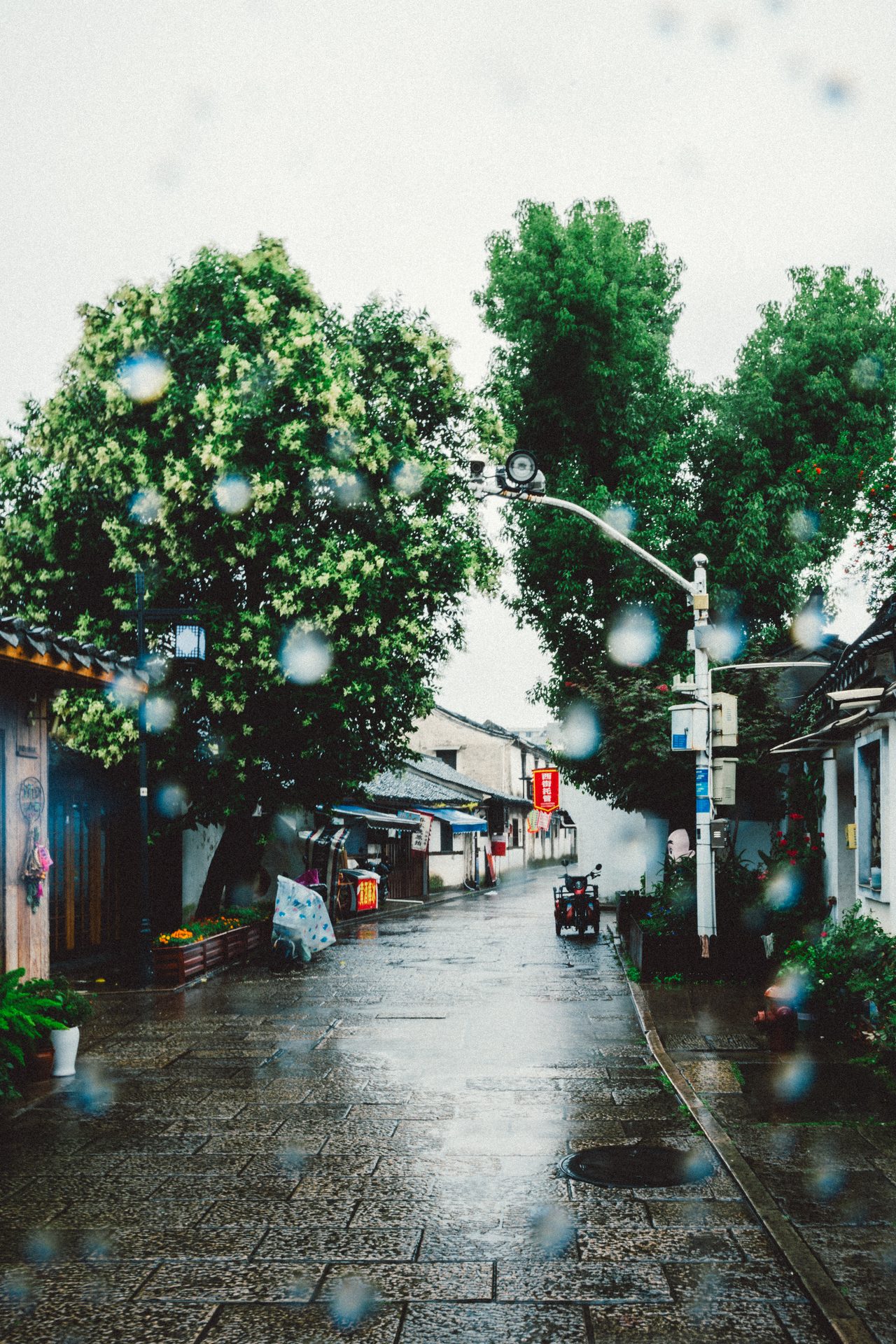 绍兴 66