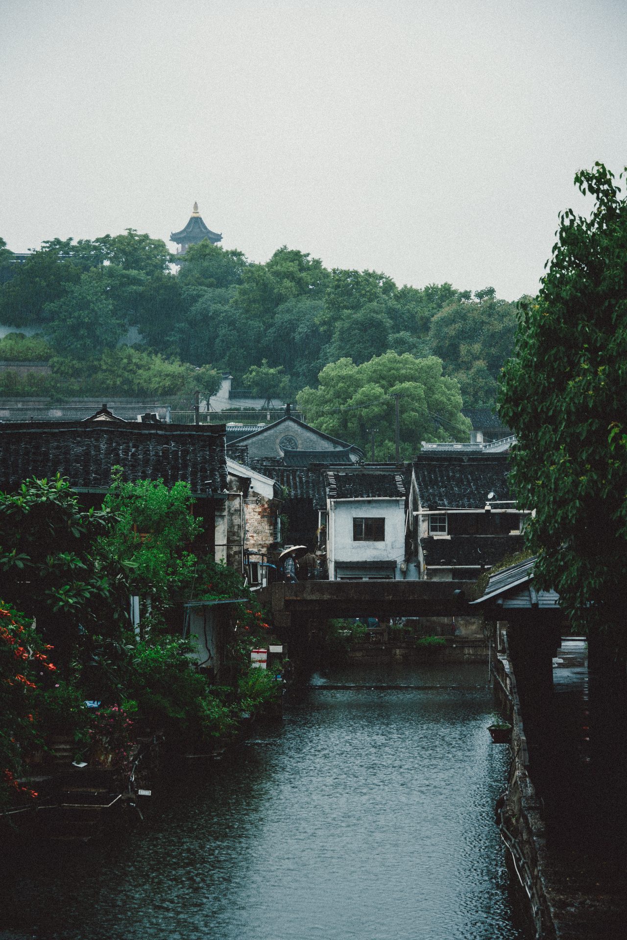 绍兴 68