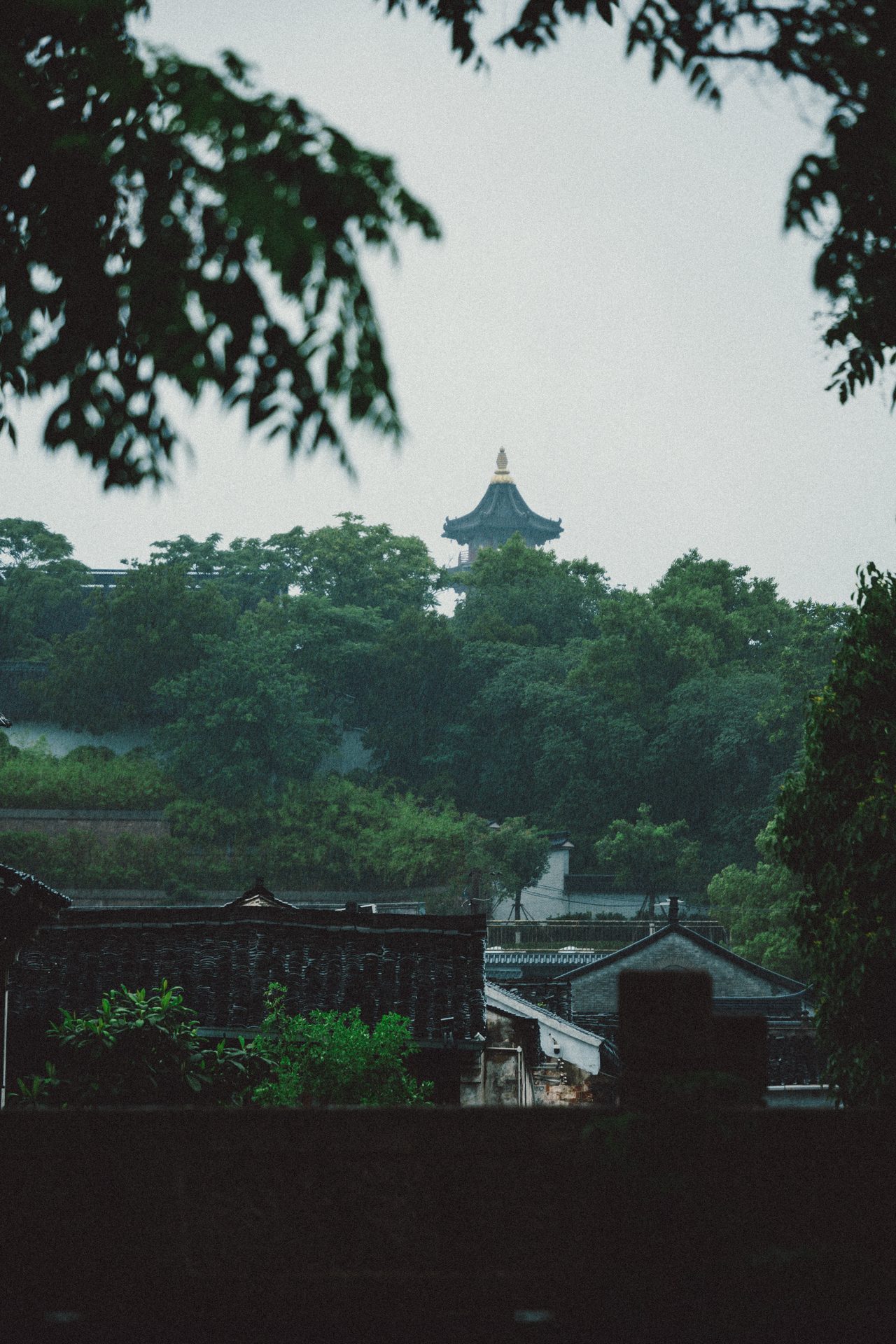 绍兴 69