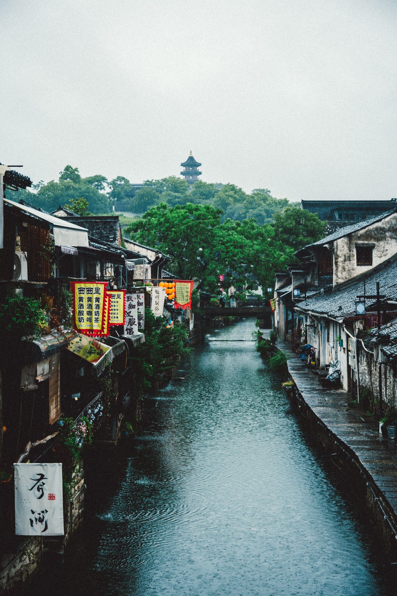 绍兴 71