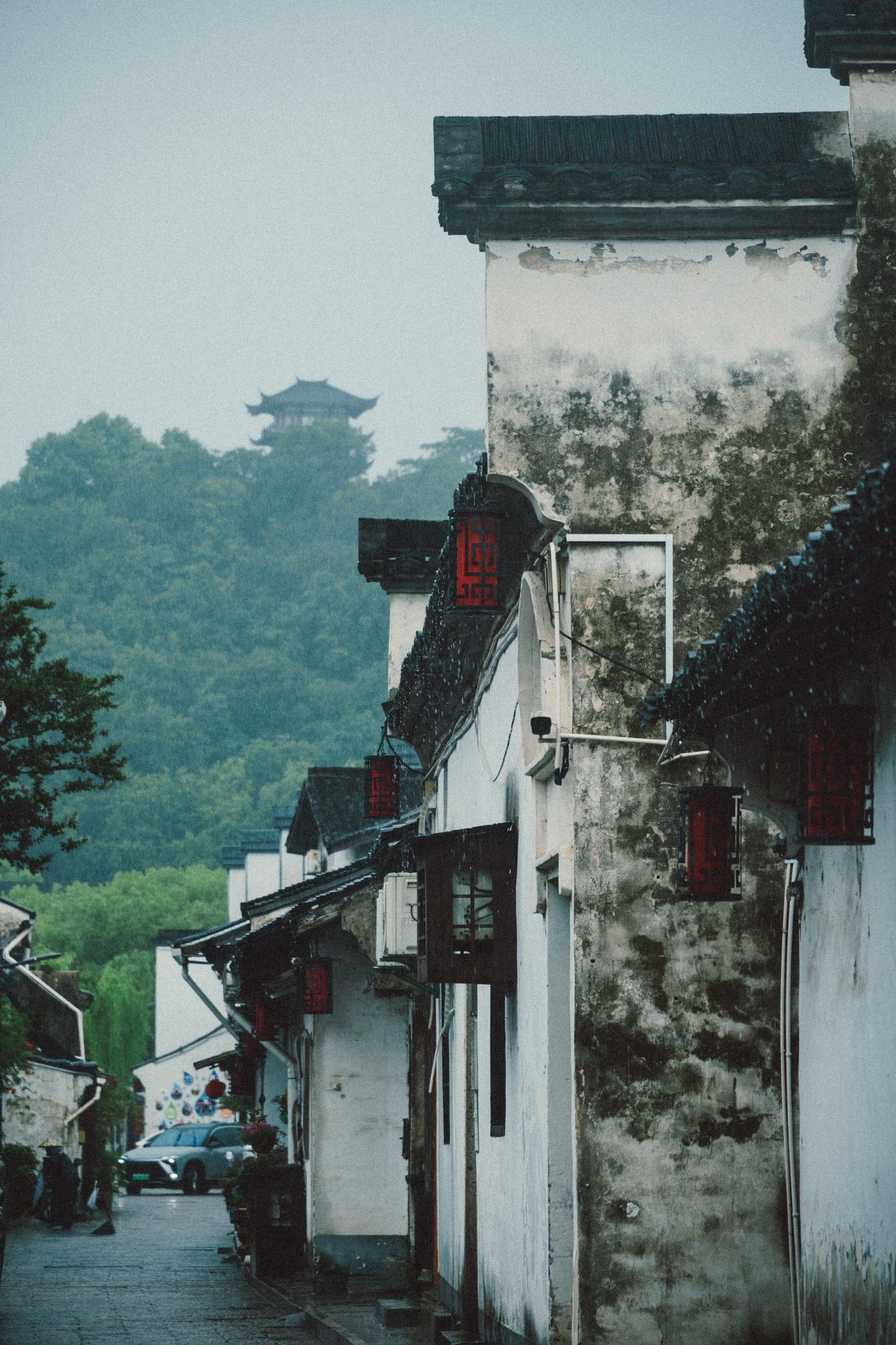 绍兴 77