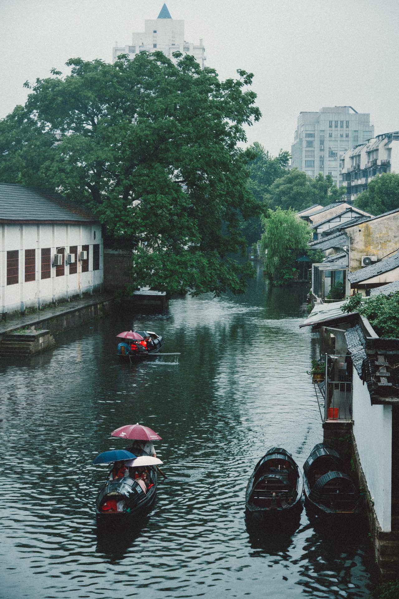 绍兴 83