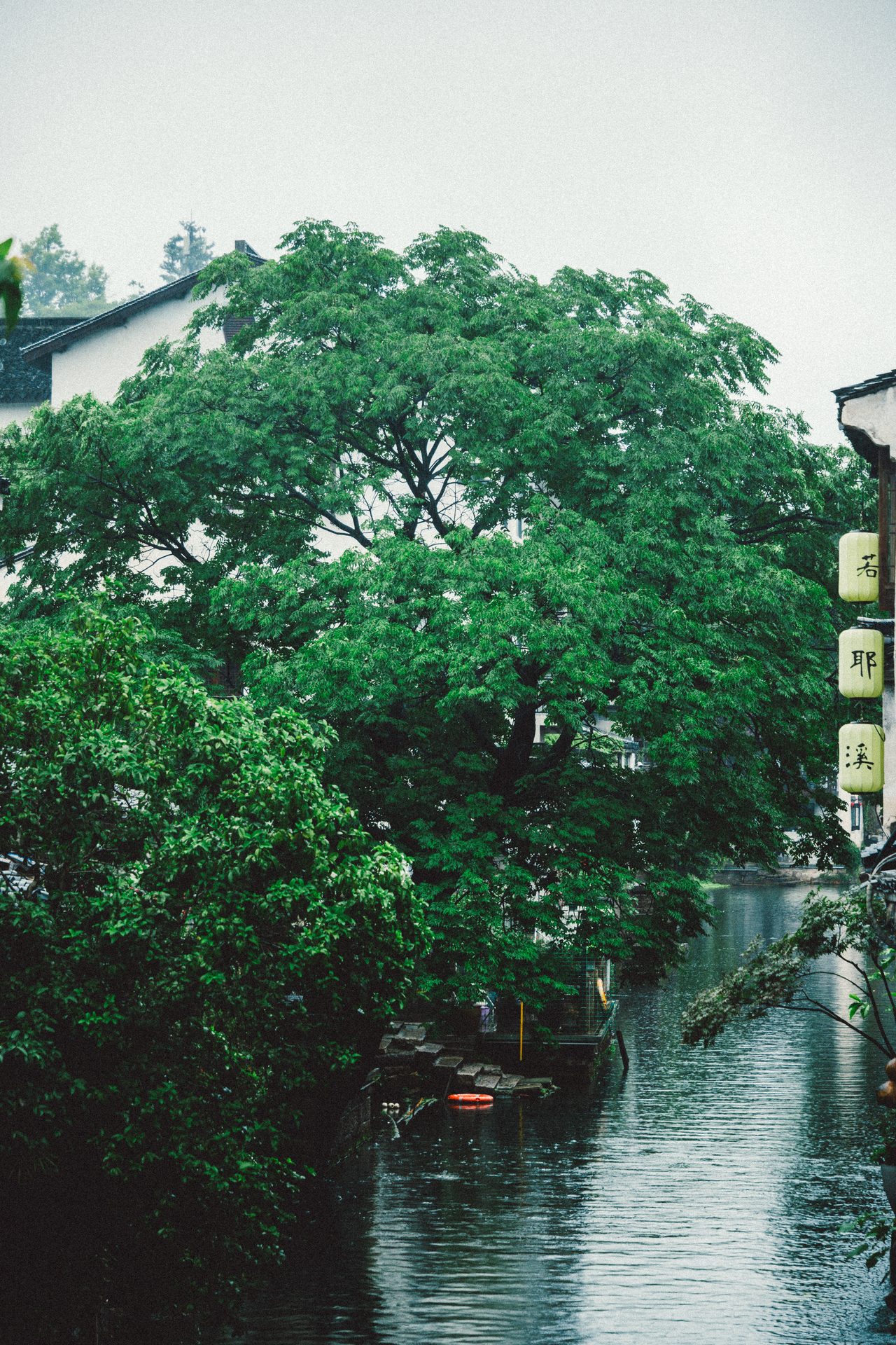 绍兴 87