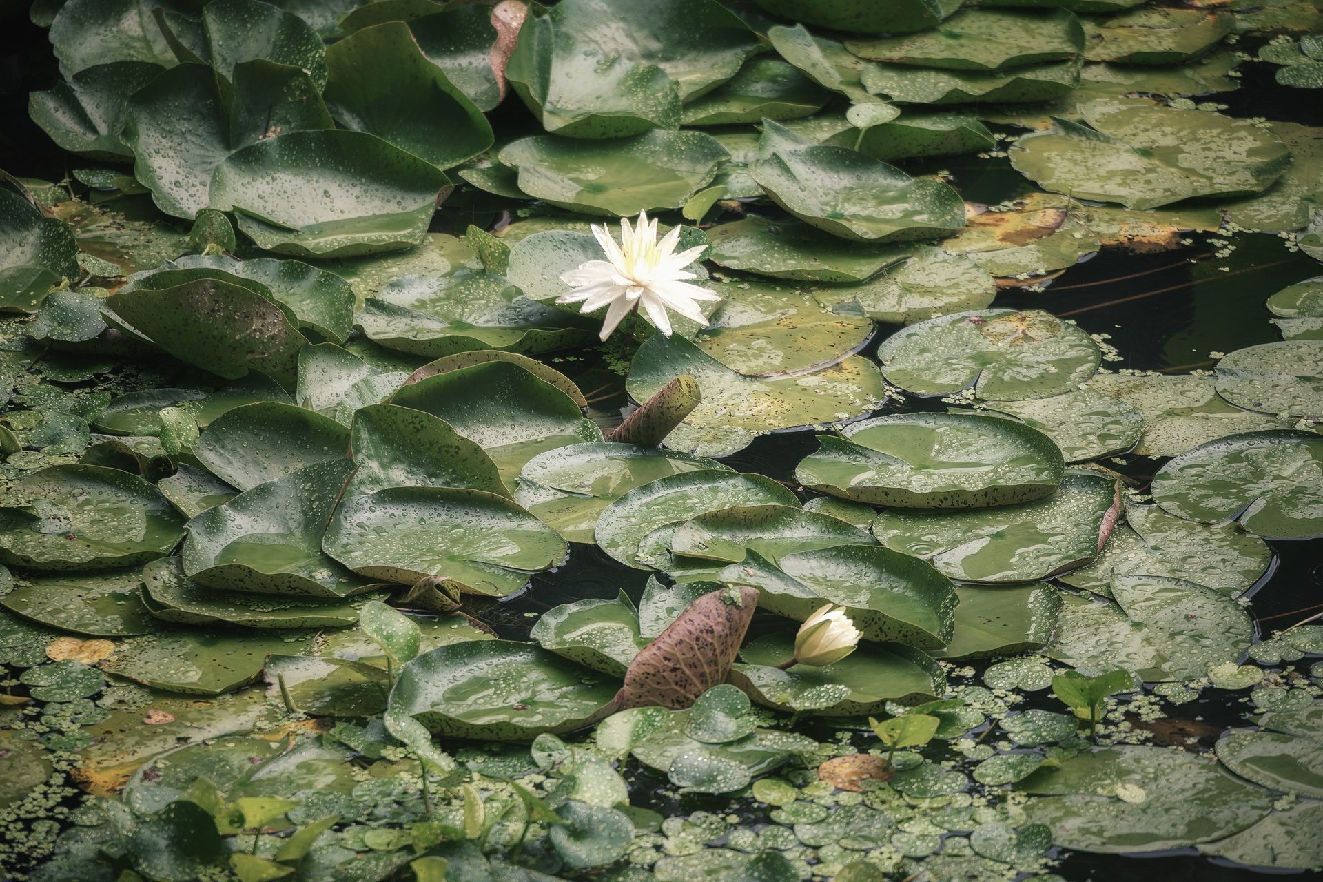 绍兴 104