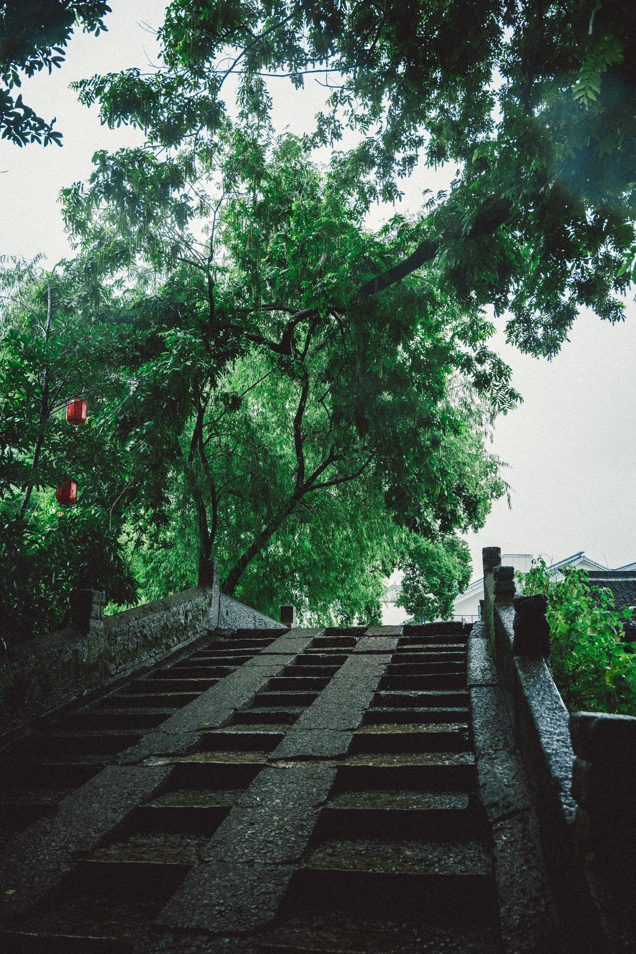 绍兴 115