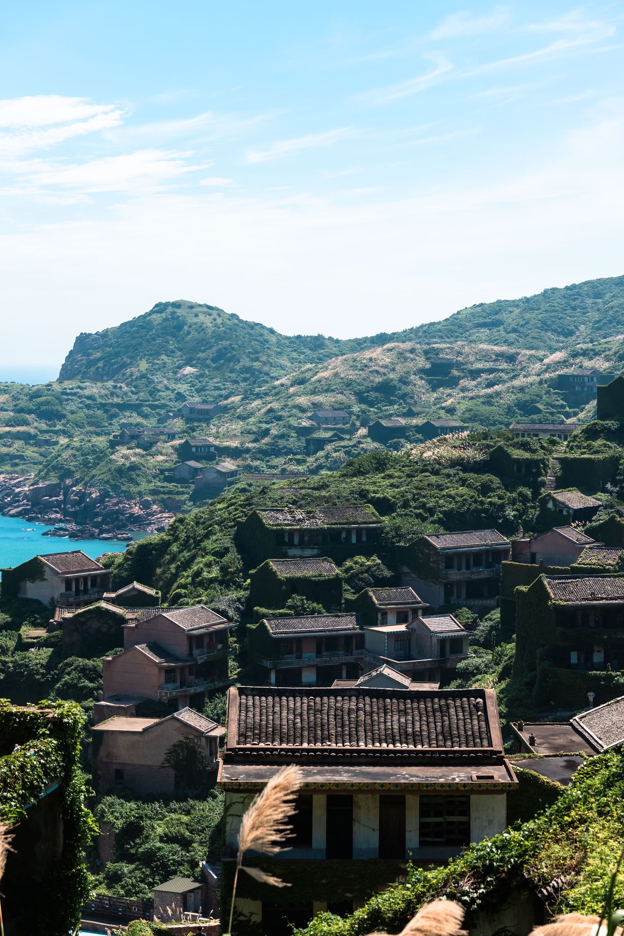 舟山 24
