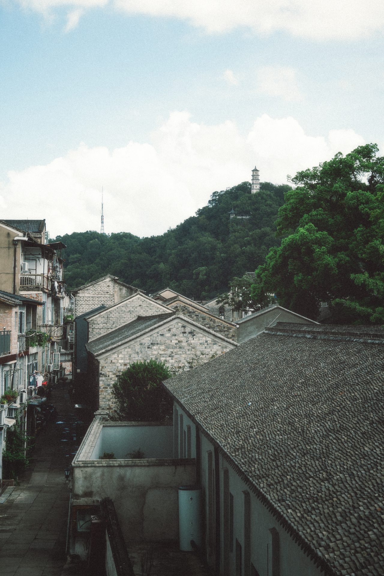 台州 36
