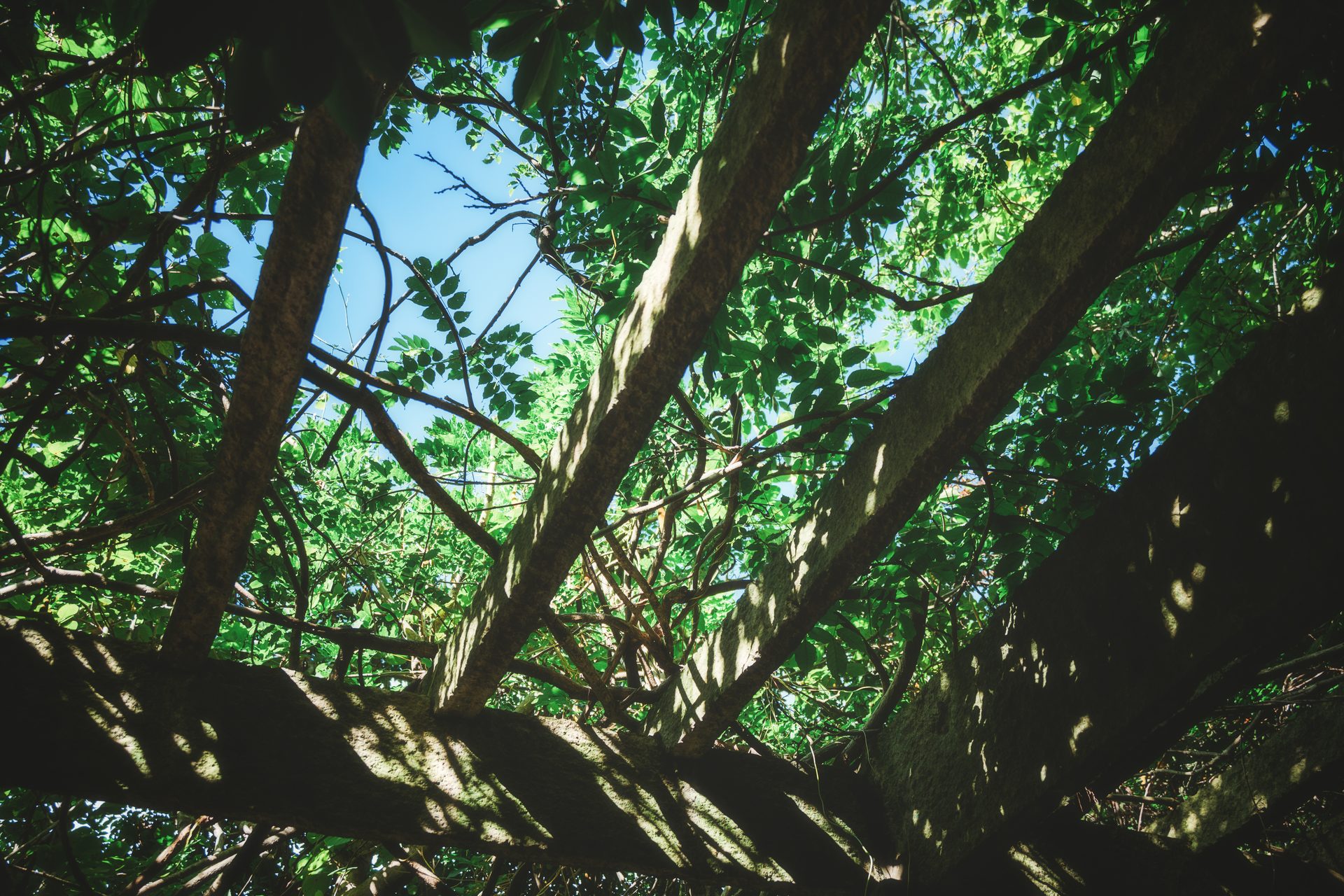 台州 58