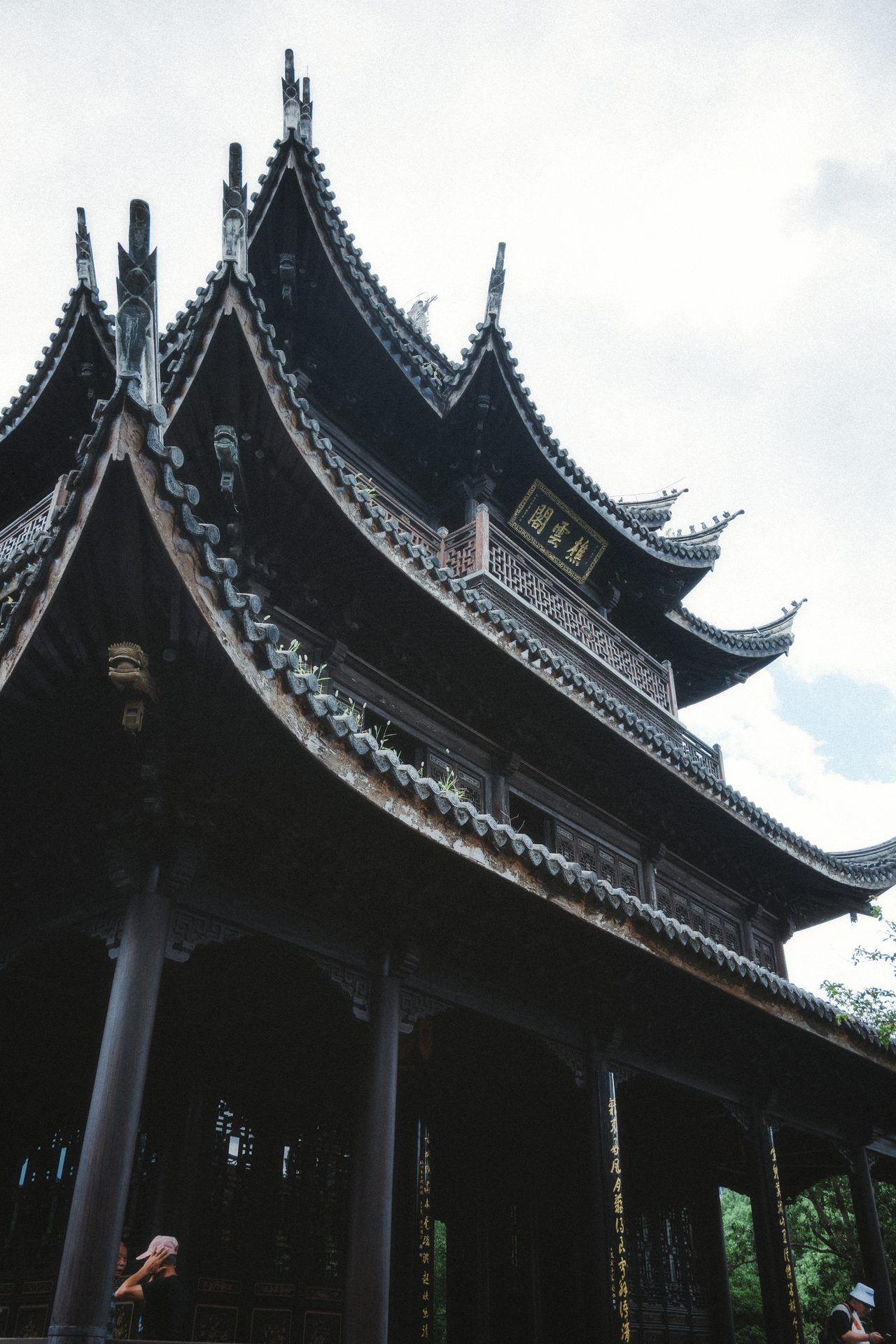 台州 81
