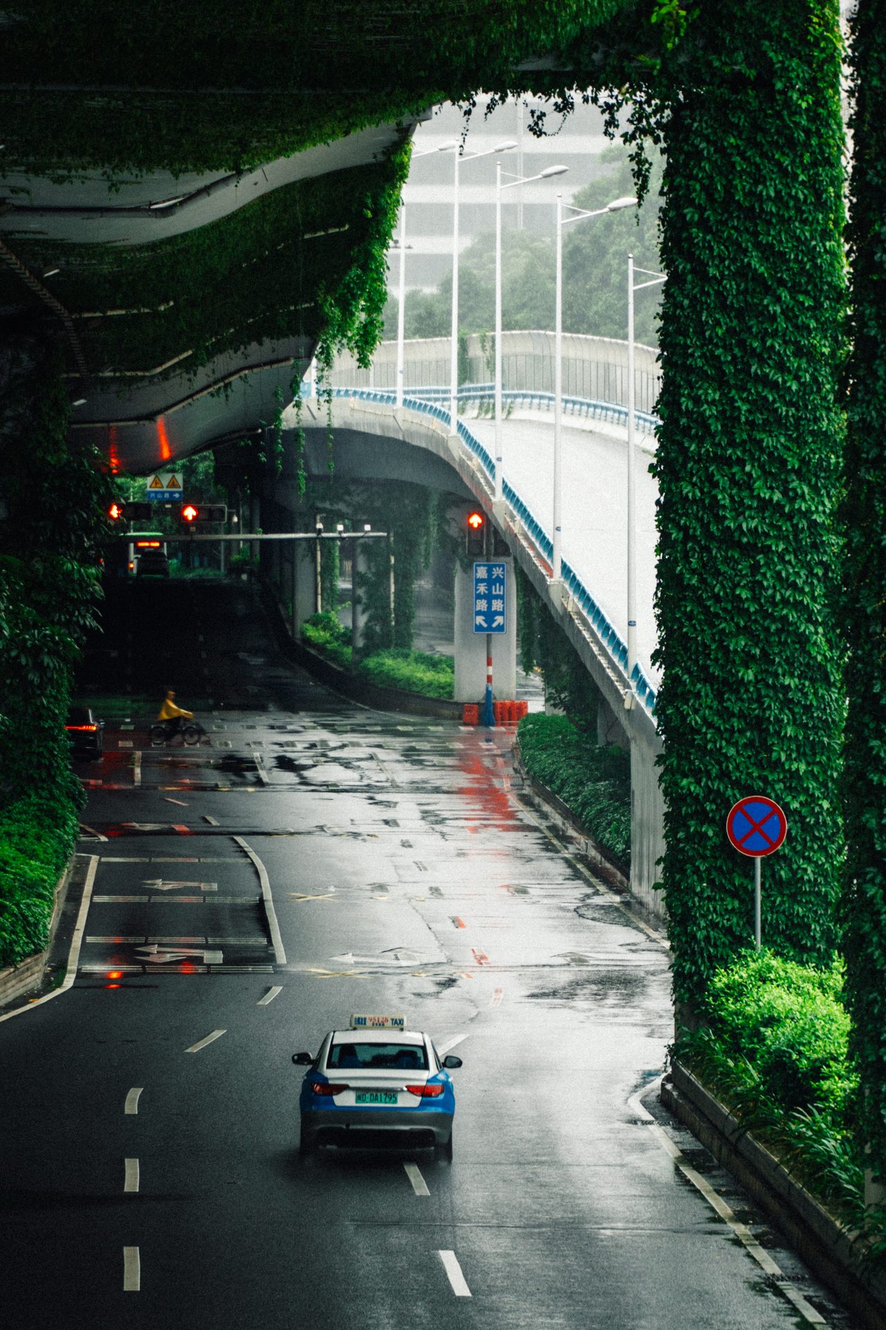 厦门 9